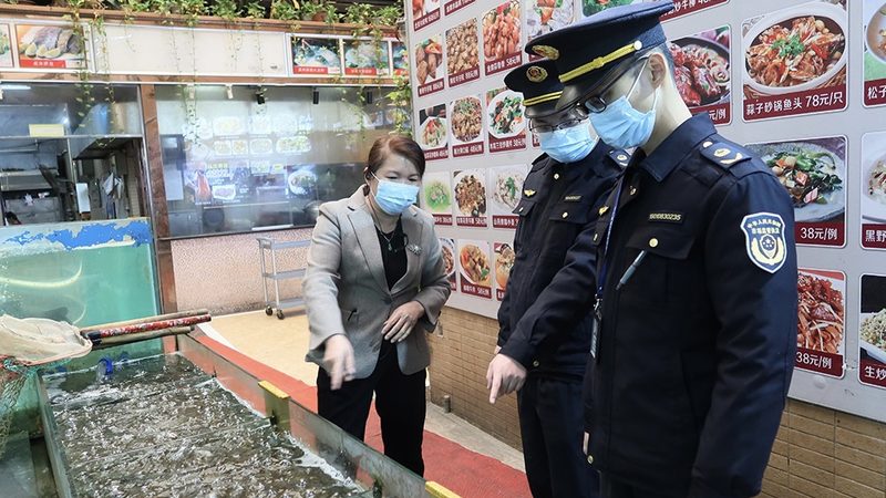 糖果自动包装机定制厂家：揭秘糖果包装自动化背后的技术奥秘